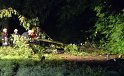 Sturm Radfahrer vom Baum erschlagen Koeln Flittard Duesseldorferstr P40